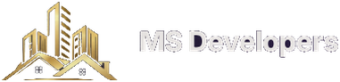 MS Developers